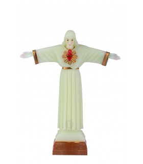 Cristo Rei luminoso com galão 20 cm